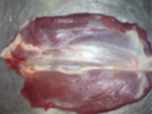 High Nutritive Value Thick Flank