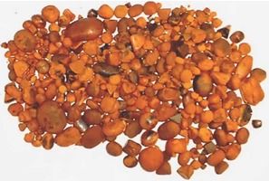 Natural Pure Bovine, Bezoars, Cow, Ox Gallstones