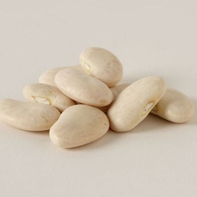 Big Size White Kidney Beans