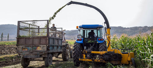 Yellow Celikel Row Independent Maize Forage Harvester