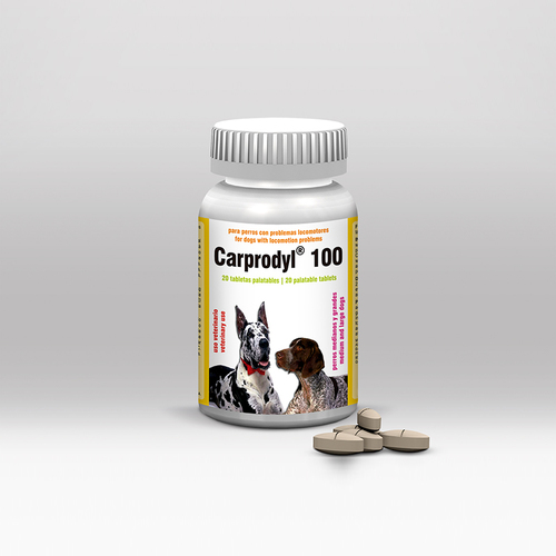 Carprodyl 100
