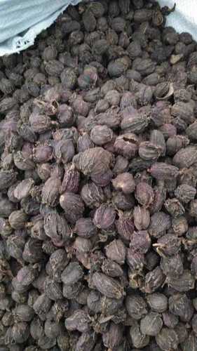 Large Cardamom (Black Cardamom)