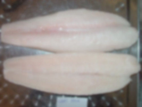 Frozen Pangasius Fillet Well Trimmed