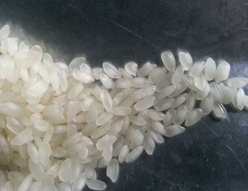 Impurity Free Camolino Rice
