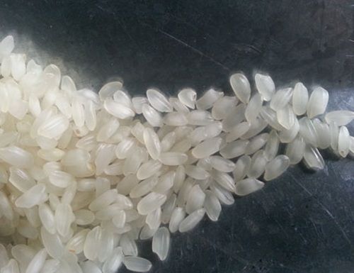 non basmati rice