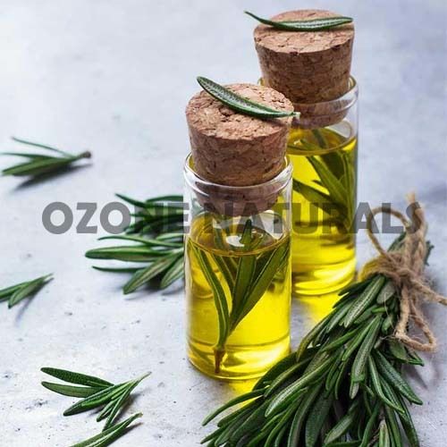 Rosemary Oil Co2 Extracted