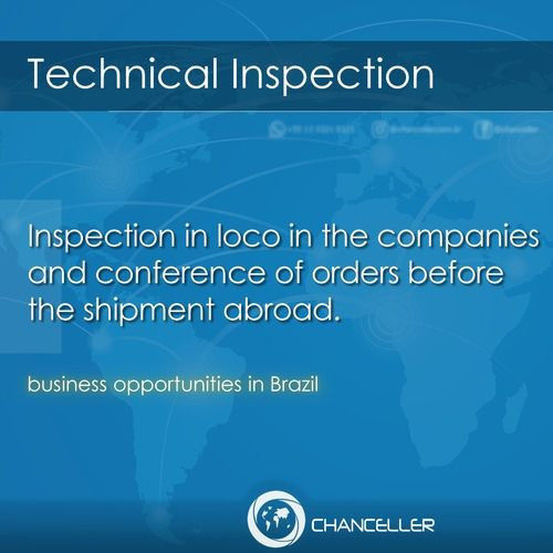 Technical Inspection Service