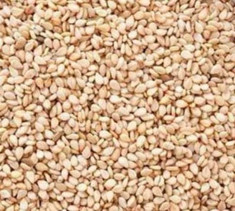 Organic White Sesame Seeds