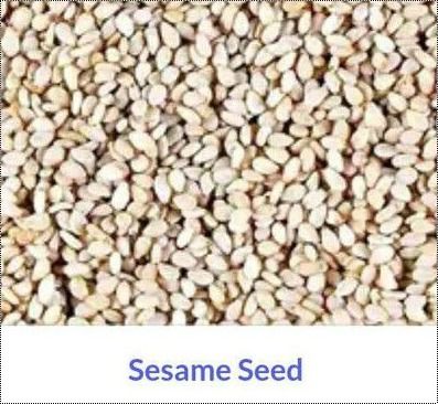 Long Shelf Life Sesame Seed