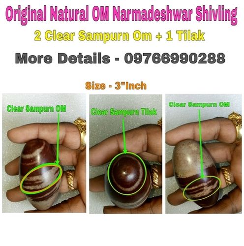 Narmadeshwar Natural Om Shivling I Sampurn Natural OM SHIVLINGA I Banalinga I Narmada Stone I Shivling Price 