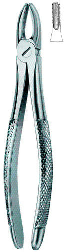 Stainless Steel Dental Extracting Forceps Non Camera Item