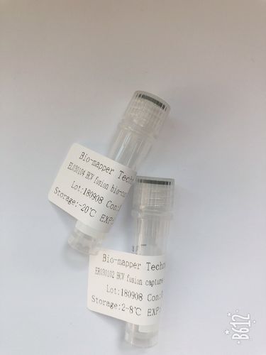 HCV Antigen Rapid Test and ELISA Kit