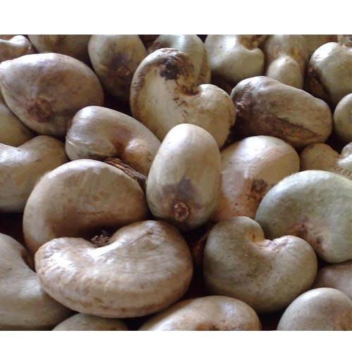 Natural and Fresh Cashew Nut