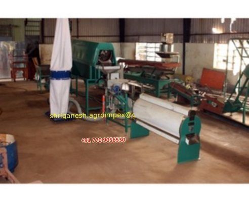 White Raw Cashew Nut Peeling Machine