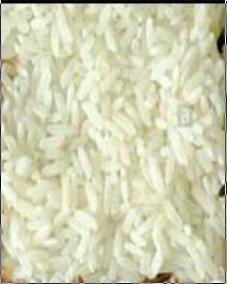 Norma Size White Rice
