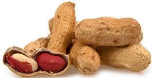 Dried Peanut Kernel - A-Grade, Common Peanuts, Brown Color | Nutritious Dried Snack for Men, Women, and Kids with High Nutrient Content