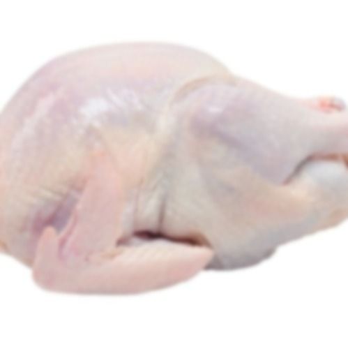 Halal Frozen Whole Chicken