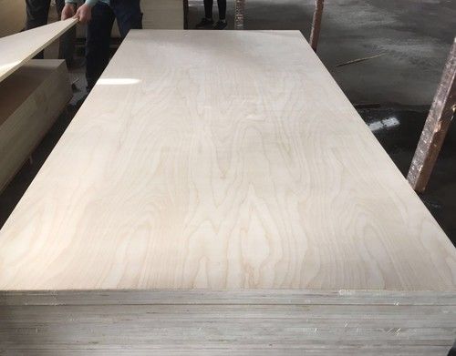 Ordinay Plywood (Thickness : 3.2-18mm)