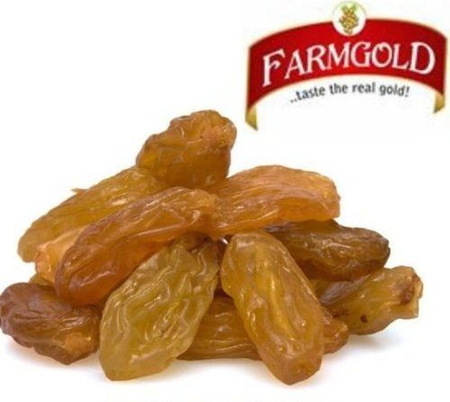 Common Rich In Taste Golden Raisin