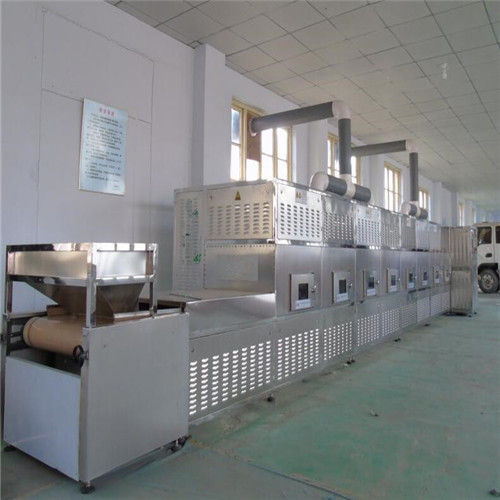 Tunnel Stainless Steel Roasted Nut Processing Plant Capacity: 0~200 Kg/Hr