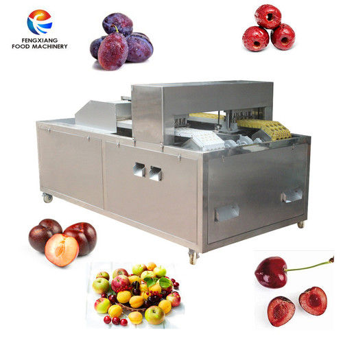 Automatic Cherry Destone Machine Application: Vegetable Chopping Purpose