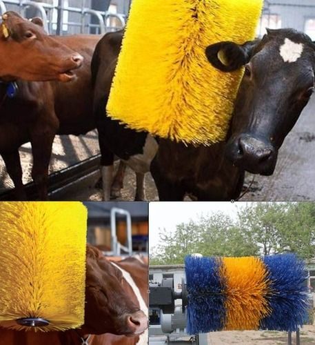 Could Be Customized Cow Body Brush