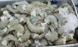 Indonesian Vannamei Prawn Shrimp