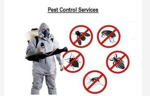 Domestic And Commercial Pest Control Services