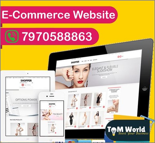 Automatic E Commerce Website Designing Services