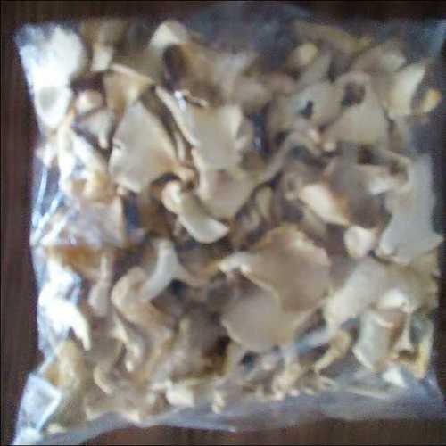 Dry Oyster Mushroom