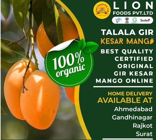 Talala Gir Organic Kesar Mango