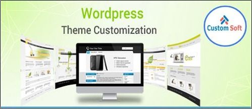 WordPress Theme Customization Software