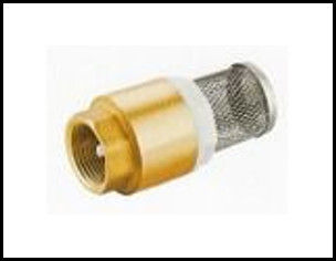 Brass Spring Check Valve