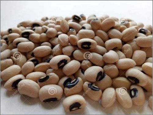 Organic Dried Cowpeas Seeds