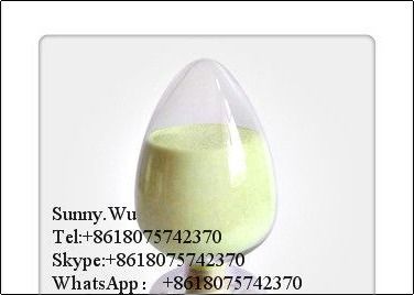 Herbal Sophora Japonica Extract 95% Rutin Extract