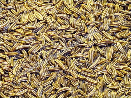 Cumin Seed