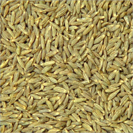 Cumin Seed