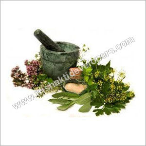 Herbal & Medicinal Plants