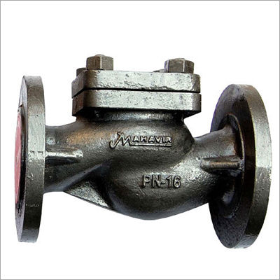 Cast Iron Check Valve