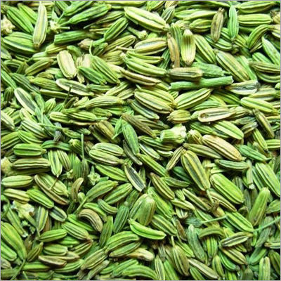 Fennel Seeds