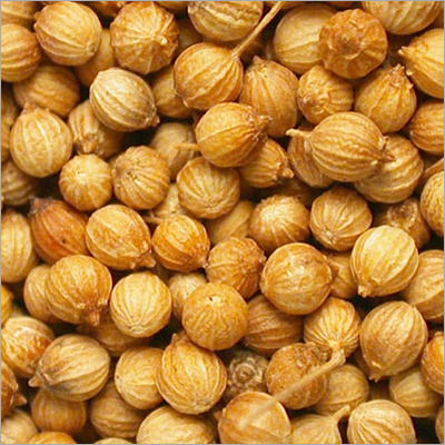 Coriander Seeds