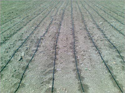 Agricultural Drip Irrigation Systems - Advanced Technology Design | Customizable Dripline Spacing Based on Soil Type, Crop Water Needs, and Power Availability