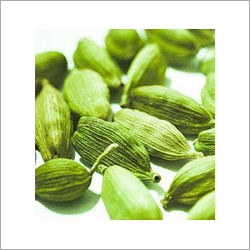 Cardamom Essential Oil