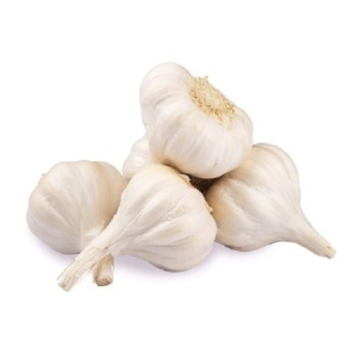 Fresh Garlic