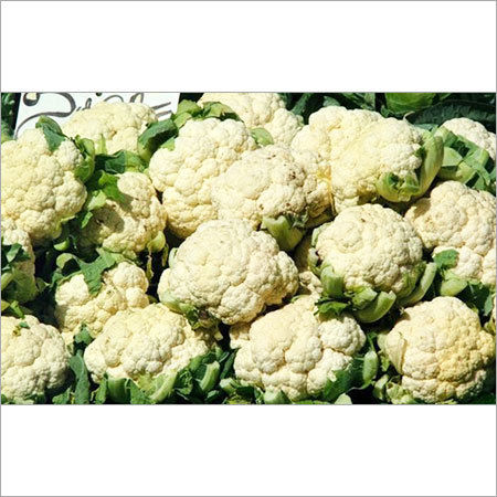 Fresh Cauliflowers