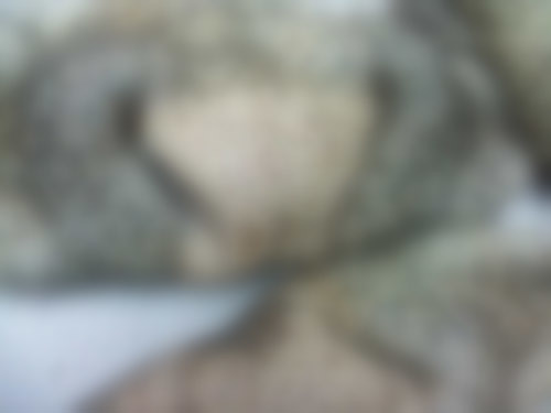 Buffalo Lips