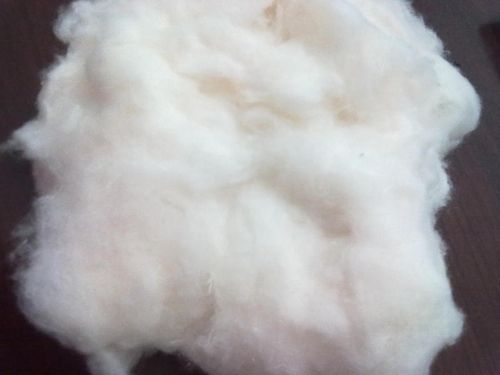 Pure Cotton Fiber