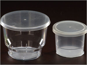 Transparent Containers With Lid