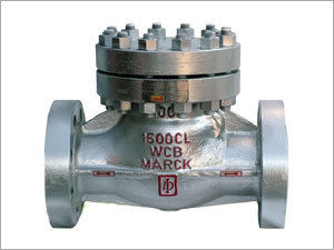 Swing Check Valve