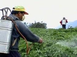 Agricultural Pesticides - Application: Pest Control